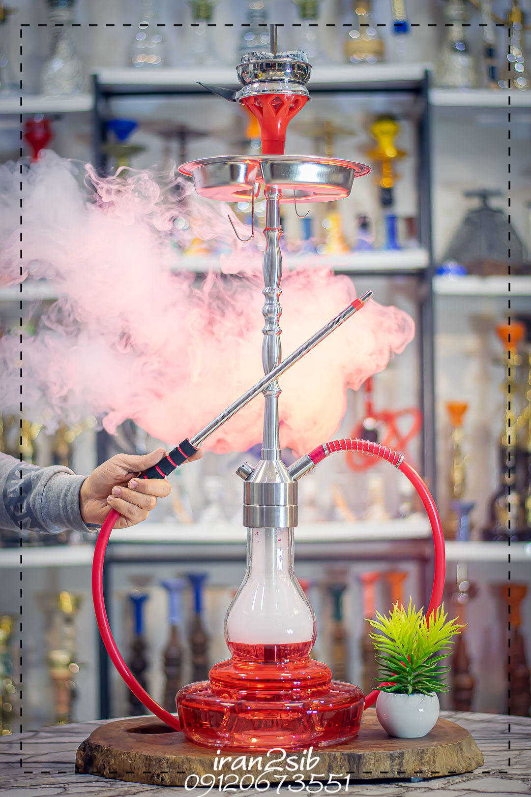  ghelyan110 ghelyankala ghelyanshop hookah iranhookah lion-king ایران دوسیب ایران هوکا خرید قلیون خرید قلیون ارزان کوچک عکس قلیون فروش قلیان فروش قلیون فروشگاه قلیان فروشگاه قلیون لایون کینگ قلیان قلیان شاپ قلیان لاکچری قلیان لایون کینگ قلیان های حرفه ای قلیون قلیونهای لایون کینگ قیمت قلیون لیست قلیان های لایون کینگ lion king قلیان لایون کینگ کد 15